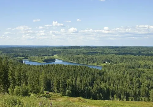 a frisbee golf park